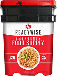 Readywise emergency entree bucket